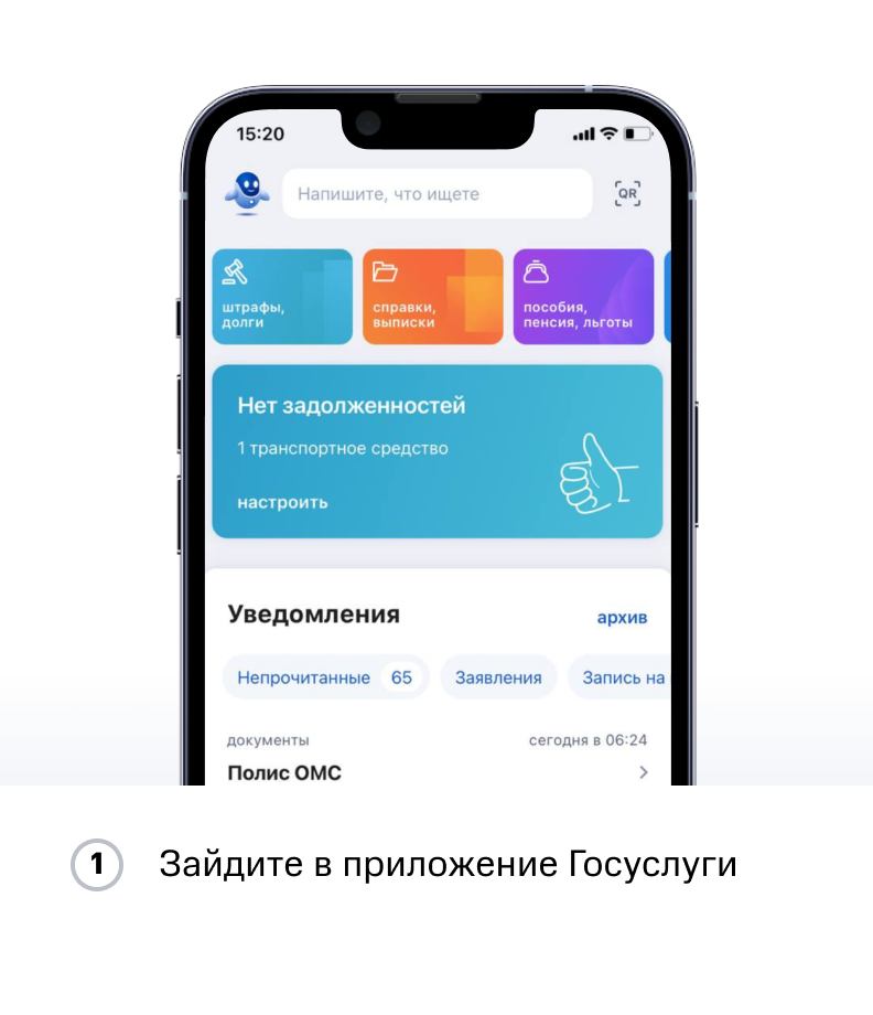 Инструкция ПФР