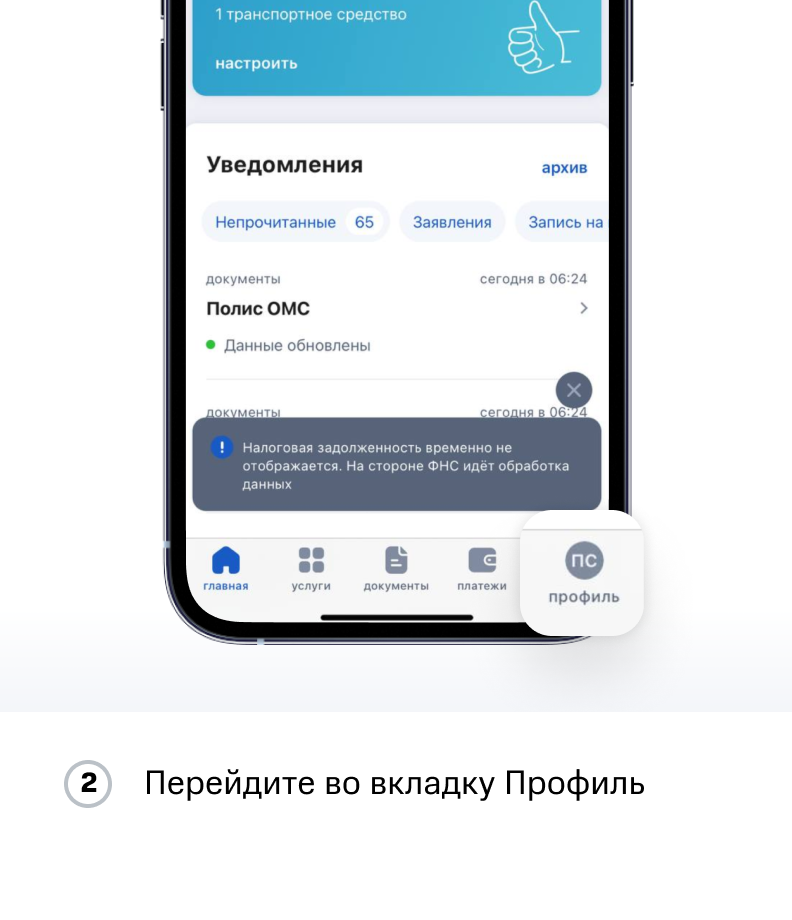 Инструкция ПФР