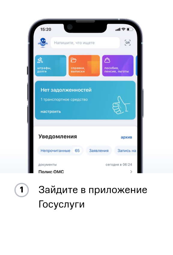 Инструкция ПФР