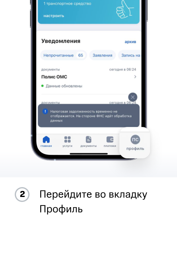 Инструкция ПФР