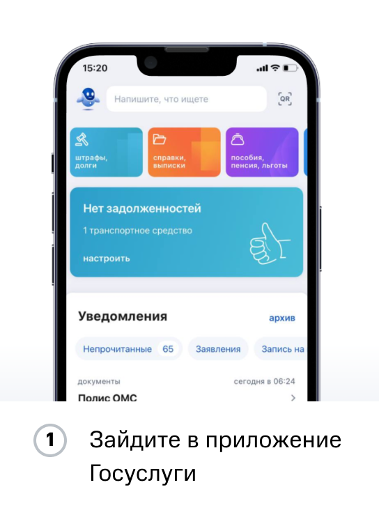 Инструкция ПФР