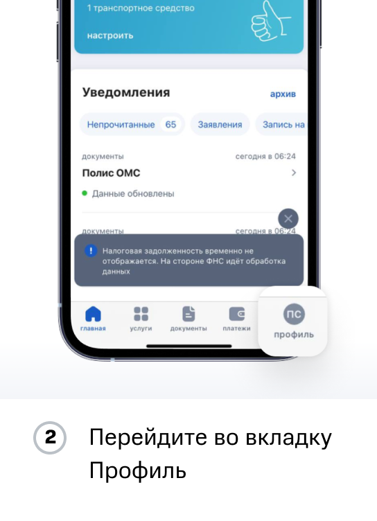 Инструкция ПФР