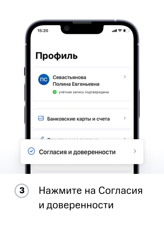 Инструкция ПФР